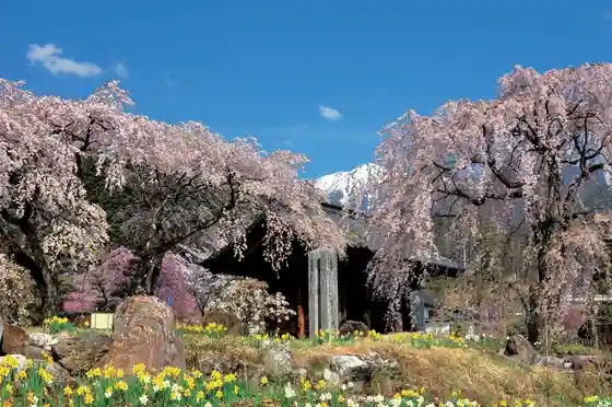 Hoshakuzan Kozenji Temple