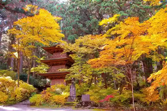 Kozenji Temple Autumn Foliage