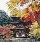 Koto Miyama Saimyo Tera (Ike Tera)