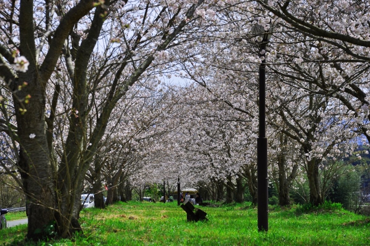 Tsushida Riverside Nature Park