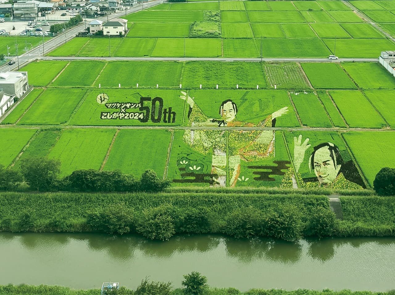 Koshigaya Rice Paddy Art
