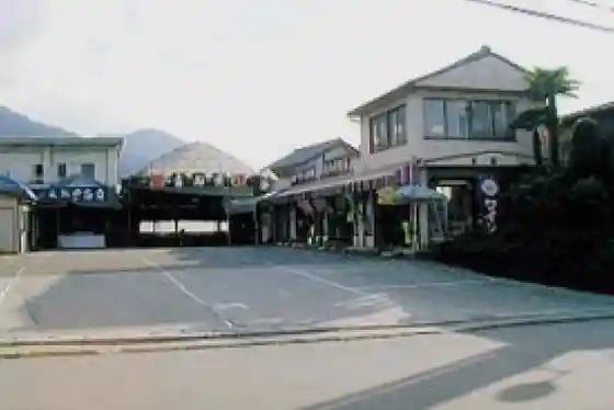Kanko Budo Sono Ko Kashiwa Sono