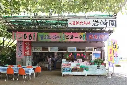 Budo Kari Iwasaki Sono