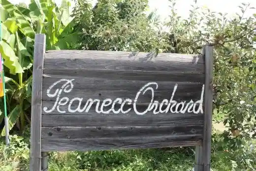Piinekkuochado