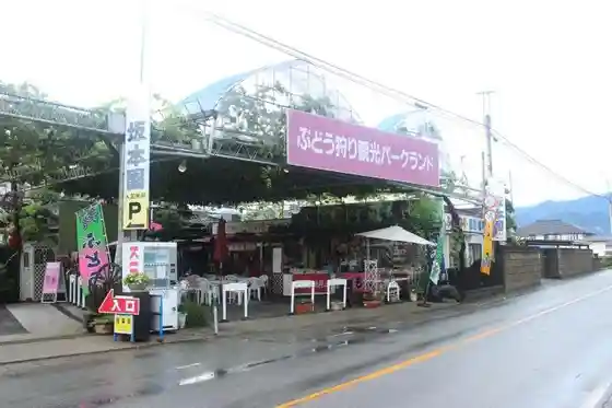 Sakamoto Sono
