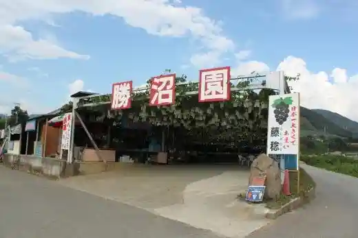 Katsunuma Sono
