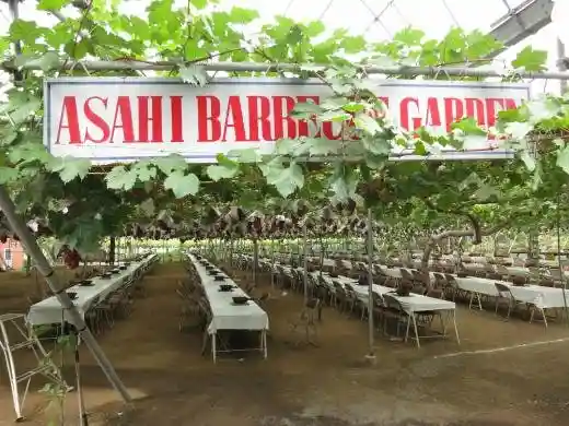 Asahi Sono