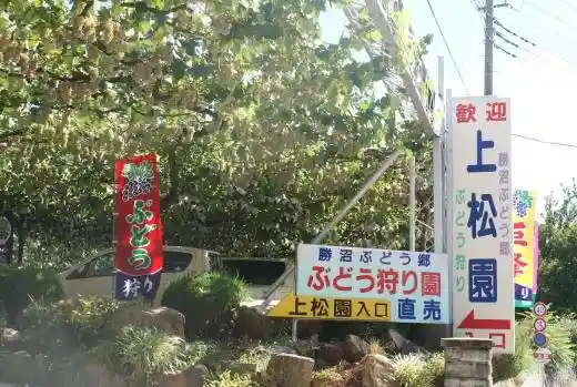 Uematsu Sono