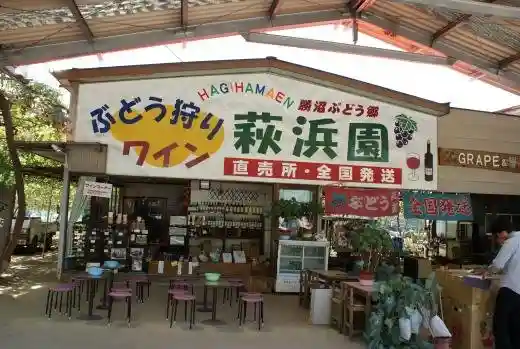 Hagi Hama Sono