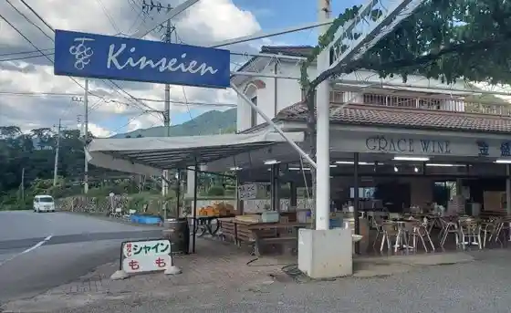 Kanamori Sono