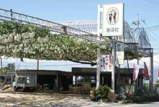 Katsunuma No. 1 Vineyard