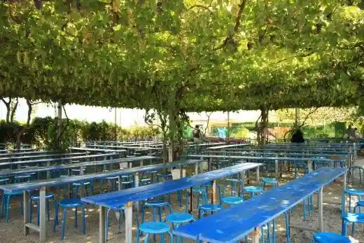 Asunaro Orchard