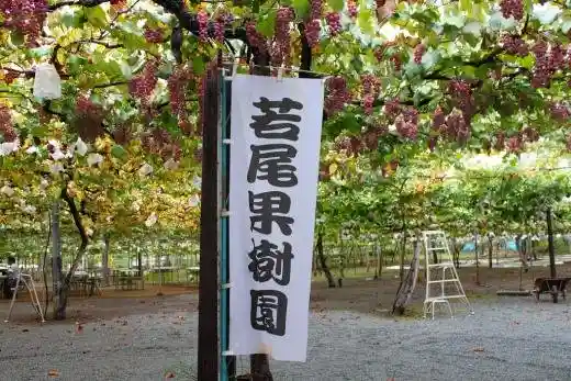Wakao Orchard