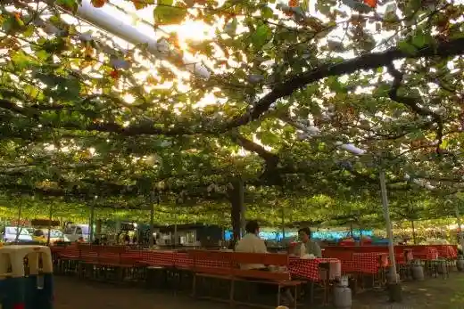 Korakuen Garden