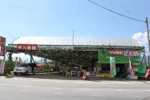 Hayakawa Orchard