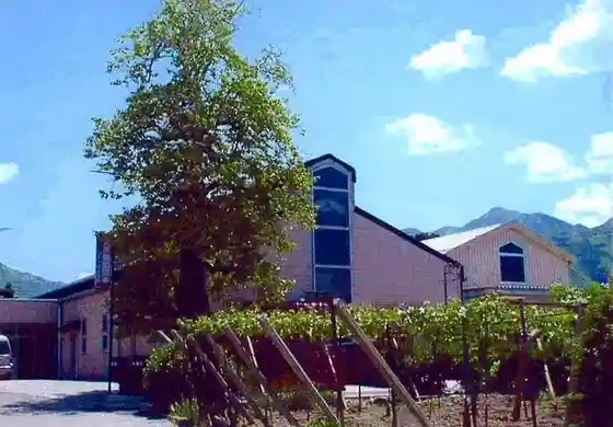Oizumi Winery