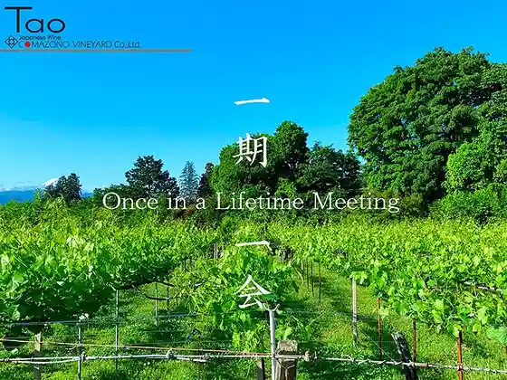Komaen Vineyard