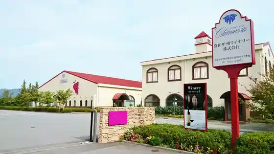 Morita Koshu Winery