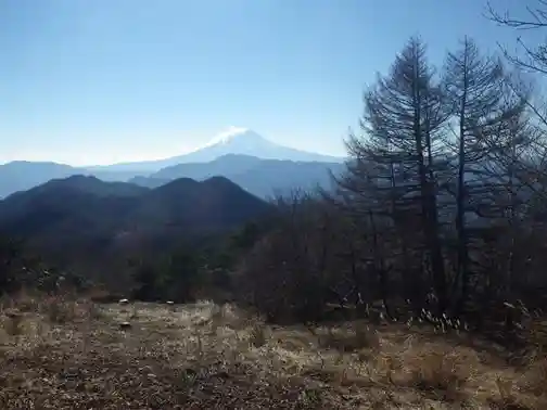 Hamaiba Sancho Byupointo