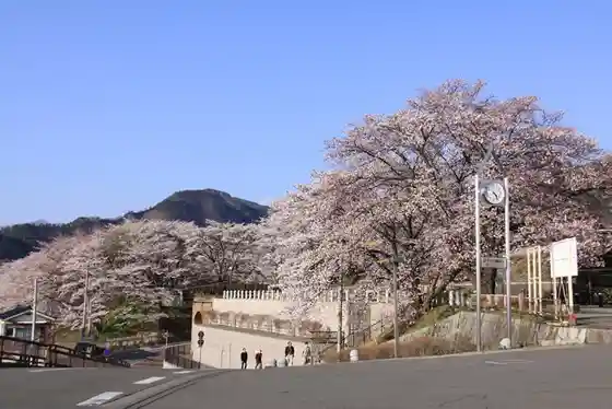 Katsunuma Grape Country Station Plaza