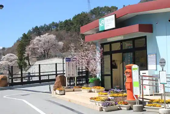 Cherry Blossoms around JR Kai-Yamato Station