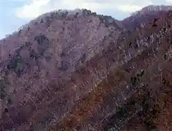 Mount Genjiro