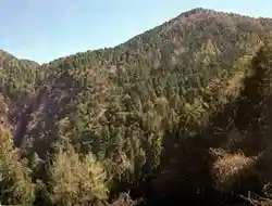 Mount Tanayokote