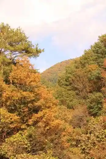 Hikawa Valley Ryumon Gorge