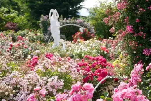 Katsunuma Travel Diary Herb Garden