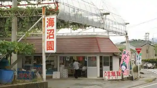 Uminuma Vineyard