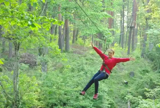 Forest Adventure Kosuge
