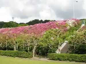 Hikoza Park