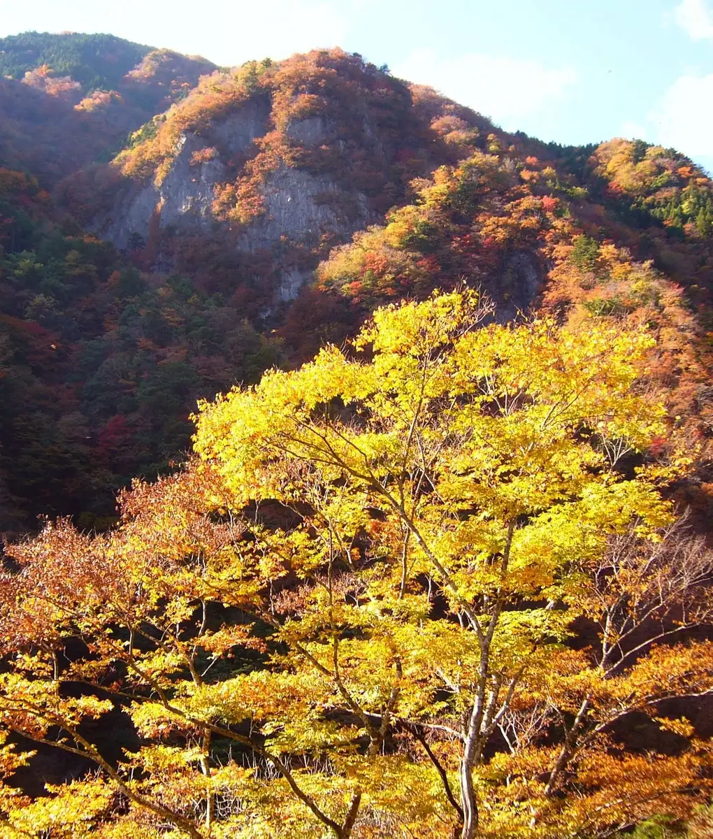 Konosekyo gorge, Naka Town