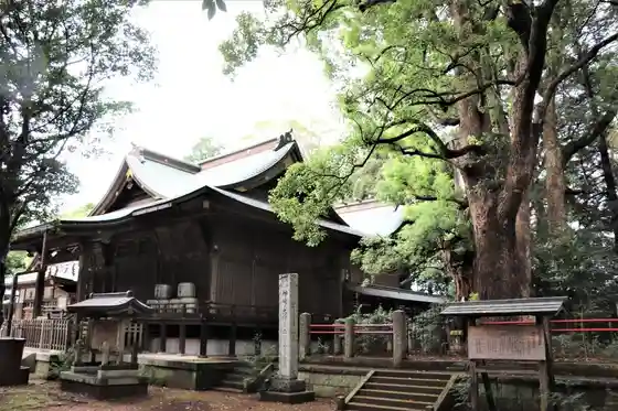 Kozaki Shrine (Nanjamonja no Ki)