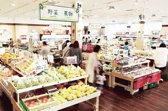 Roadside Station Kaki no Sato Kudoyama