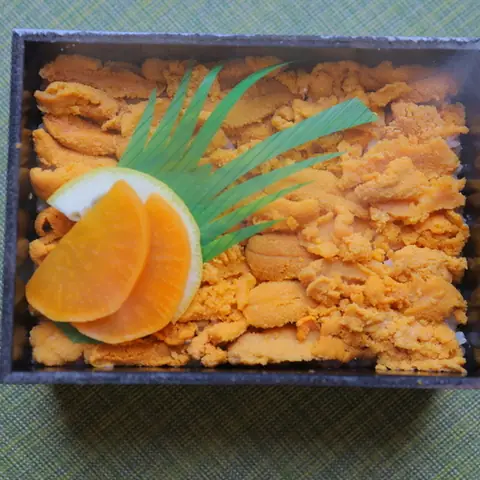 Sanriku Riasu-tei