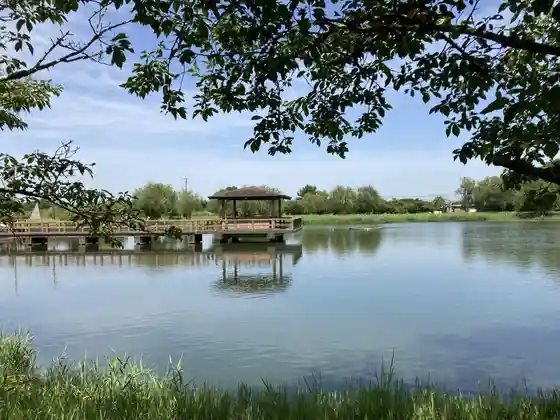 Miyajima Ike Shinsui Park