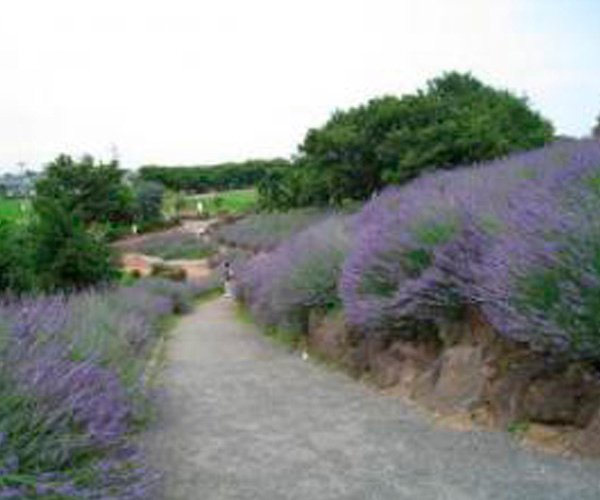 Shirasagi Park