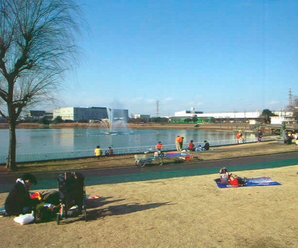 Tetsuo-kun Park Kuki (Kuki Shobu Park)