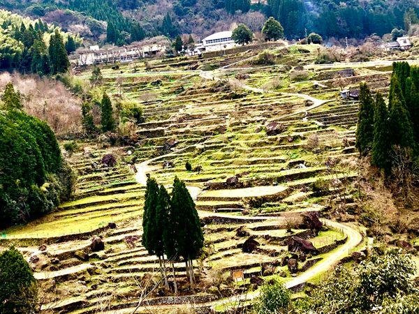 Matsudani Rice Terrace Observatory