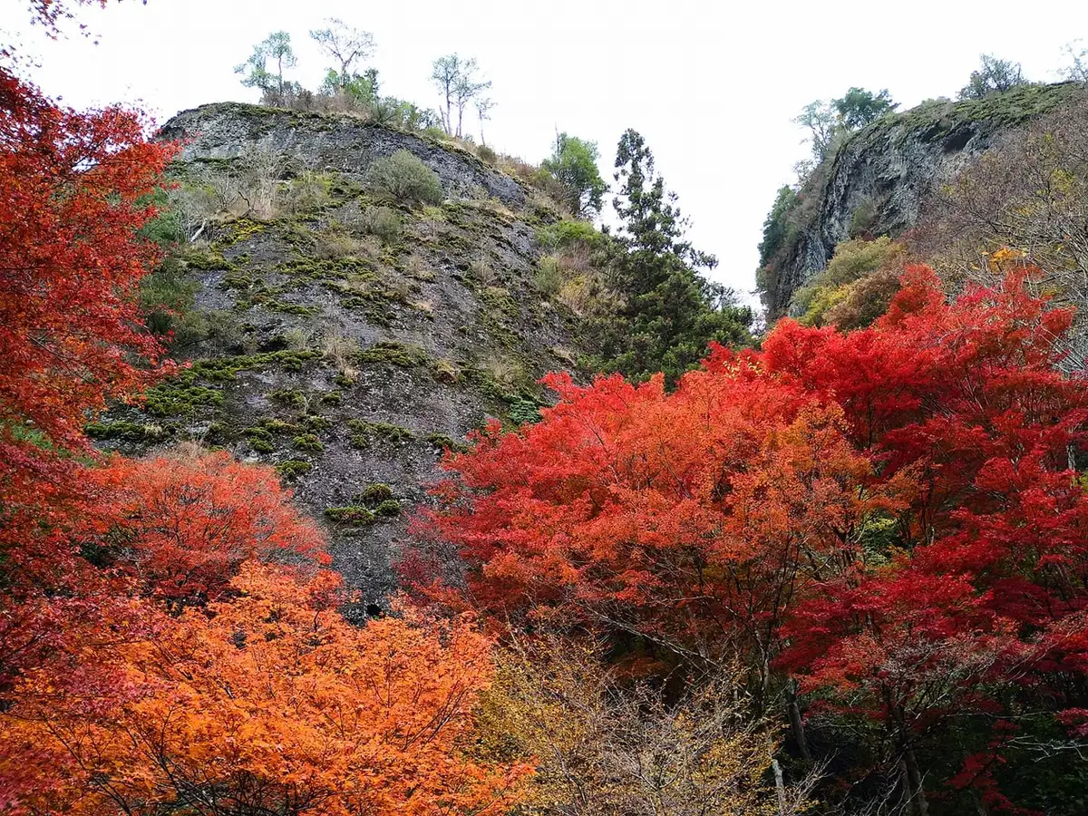 Furuiwaya
