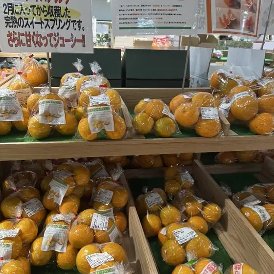 Michi no Eki Ashikita Dekopon