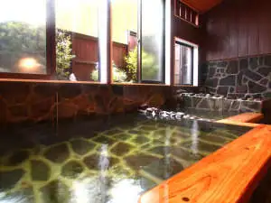 Hitoyoshi Onsen Oga no Yado