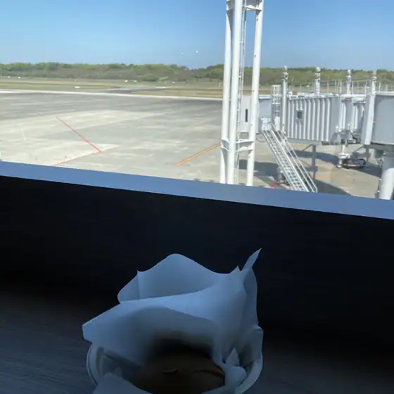 Itsukiya Honpo Kumamoto Airport Store