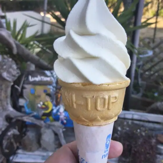 Aji no Eki Takenko
