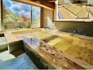 Shugojin Onsen
