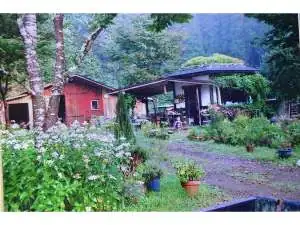 Little Lodge B&B