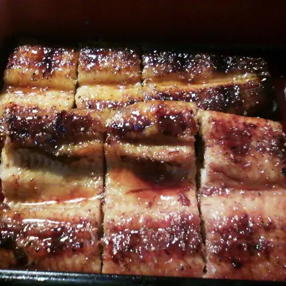 Park Unagi Torobata