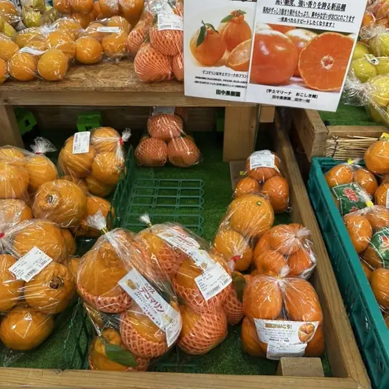 宇城彩館