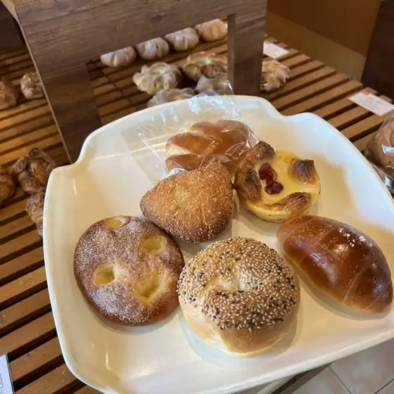 Bread & Cake Cipollino